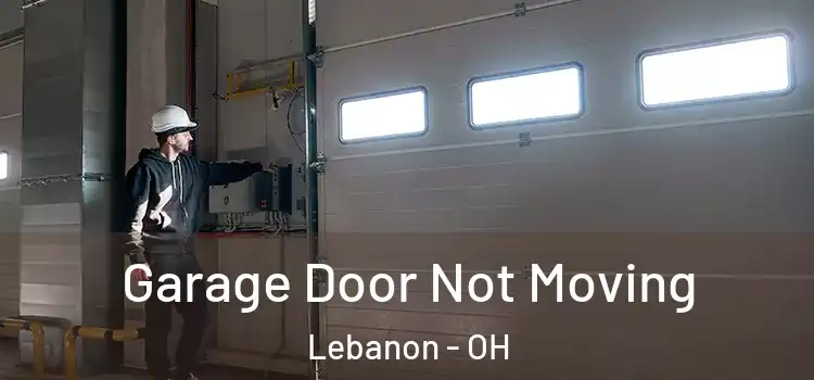  Garage Door Not Moving Lebanon - OH