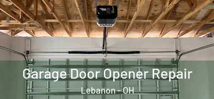 Garage Door Opener Repair Lebanon - OH