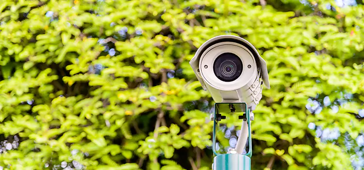 Advanced Surveillance Solutions for Every Need in Lebanon