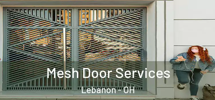 Mesh Door Services Lebanon - OH