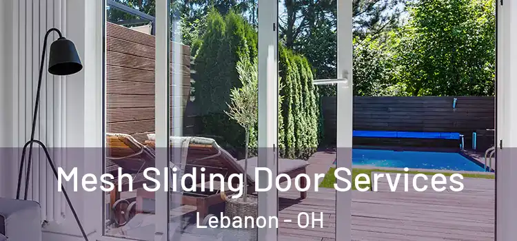 Mesh Sliding Door Services Lebanon - OH